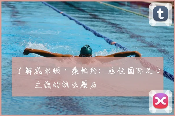 了解威尔顿·桑帕约:这位国际足联主裁的执法履历